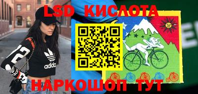 сатива Краснодар