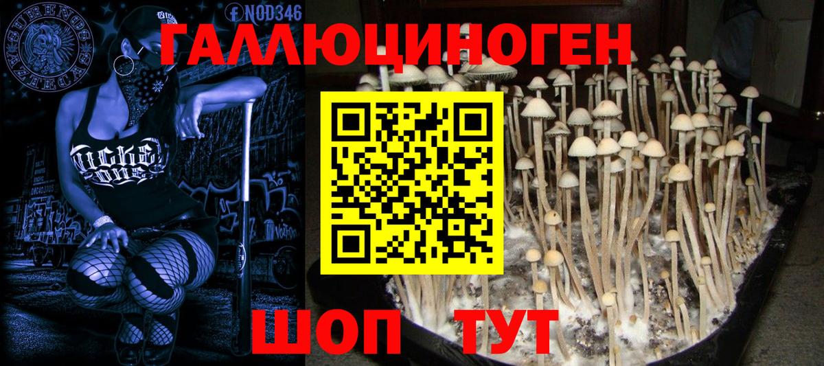 Южноуральск  Псилоцибиновые грибы мицелий  Псилоцибиновые грибы GOLDEN TEACHER  Вход с VPN 